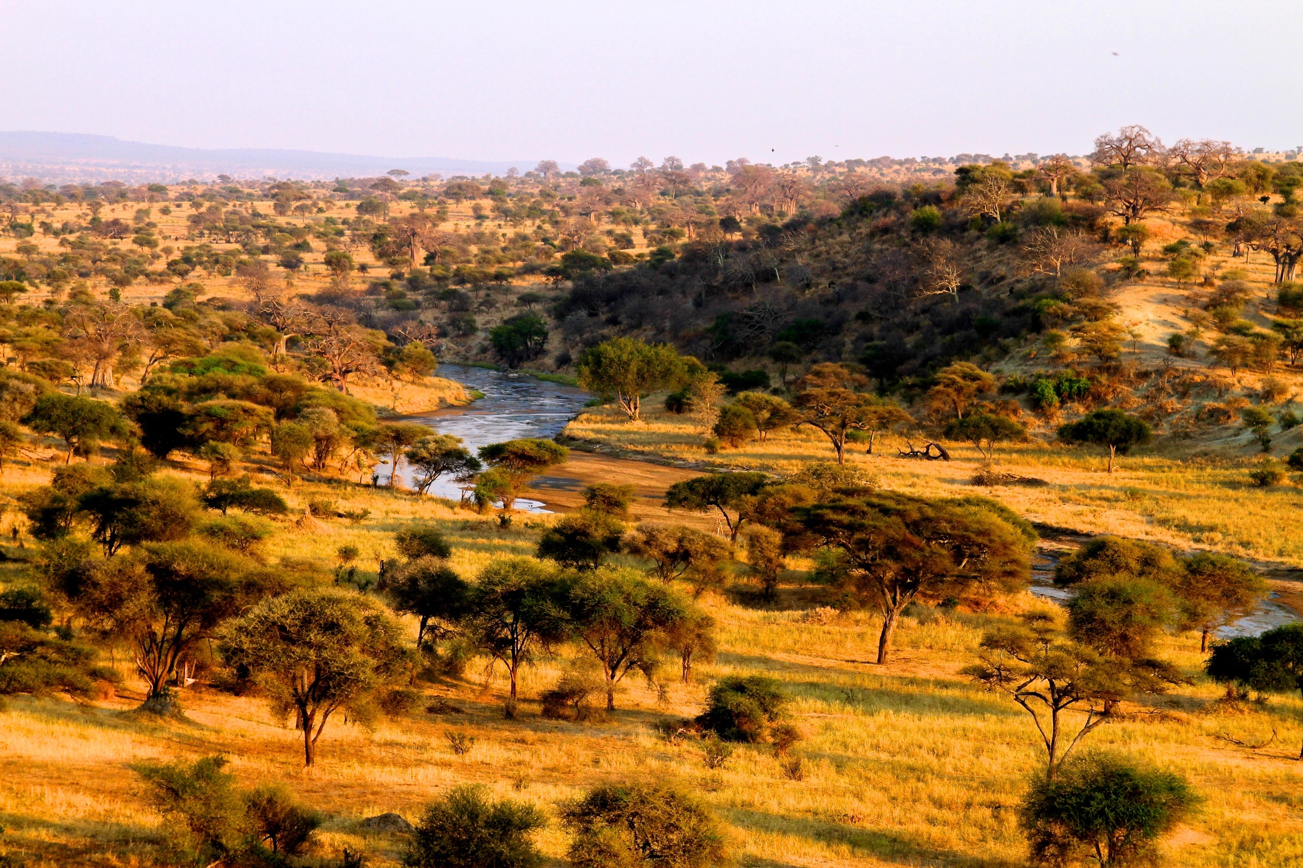 Day 2 - Day 2: Tarangire National Park Game Drive